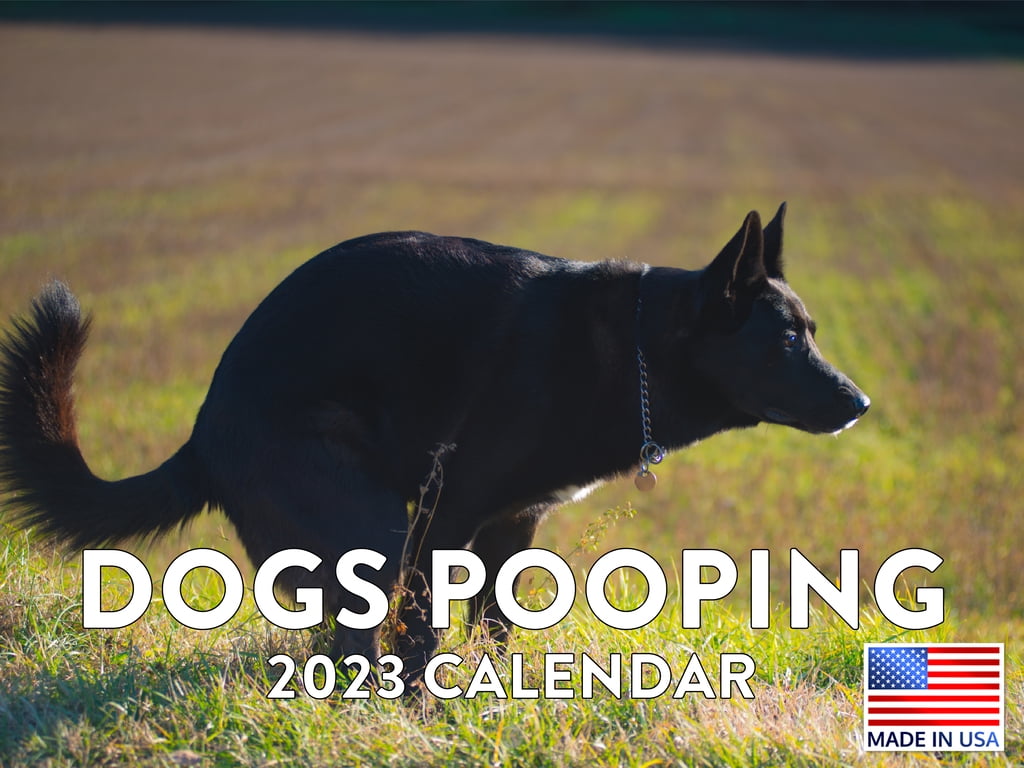 Funny Dog Pooping Calendar 2023 Monthly Wall Hanging Calendar Animal Gag Gift Nature Calls Poop Pet Large Planner 24 Months - Full 2023 Write On Grid Plus Bonus 2024 Preview Chart - Made In USA - Walmart.com funny-dog-pooping-calendar-2023-monthly-wall-hanging-calendar-animal-gag-gift-nature-calls-poop-pet-large-planner-24-months-full-2023-write-on-grid-plus-bonus-2024-preview-chart-made-in-usa-walmart-com