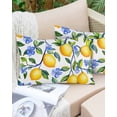 thumbnail image 6 of Yellow Lemon Throw Pillow Cover 12 x 20 Inch Decorative Pillow Cover Blue Flower Botanical Blossom Motif Spring Lumbar Pillowcase Seasonal Rectangle Cushion Case for Couch Sofa Bed Living Room, 6 of 7