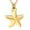 Gold, variant on Starfish Memorial Jewelry Small Star Charm Cremation Urn Pendant Ashes Memorial Necklace Stainless Steel Urn Pendant