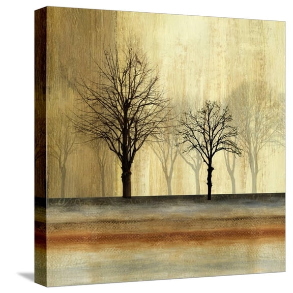 Art.com Escape Stretched Canvas Print Wall Art by Andrew Michaels, 16" x 16"