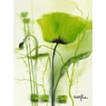 thumbnail image 2 of Marthe 25x32 Black Ornate Wood Framed with Double Matting Museum Art Print Titled - Coquelicot vert II, 2 of 4