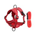 thumbnail image 1 of Dog Harness Vest Reflective Vest Style Harness and Leash Escape Proof Breathable Pet Chest Vest Walking Leash for & Small Medium Dogs Adjustable Pet Harness Walking Control Vest Pet Gear, 1 of 8