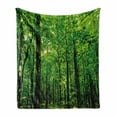 thumbnail image 1 of Nature Soft Flannel Fleece Blanket, Woodland Tree Forest Jungle in Sunny Day Mother Earth Environment Picture, Cozy Plush for Indoor and Outdoor Use, 70" x 90", Fern Green Seal Brown, by Ambesonne, 1 of 6