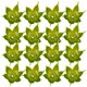 thumbnail image 4 of 100 Uds receptáculo cálices falsos tallos de flores para manualidades flores artificiales sépalos materiales de cálices DIY, 4 of 6