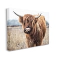 thumbnail image 3 of Stupell Industries Grazing Longhorn Cattle Farmland Animal Portrait Canvas Wall Art, 48 x 36, Design by Amy Brinkman, 3 of 5