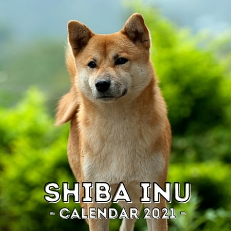 Shiba Inu : 2021 Calendar, Cute Gift Idea For Shiba Inu Lovers Or Owners Men And Women (Paperback)