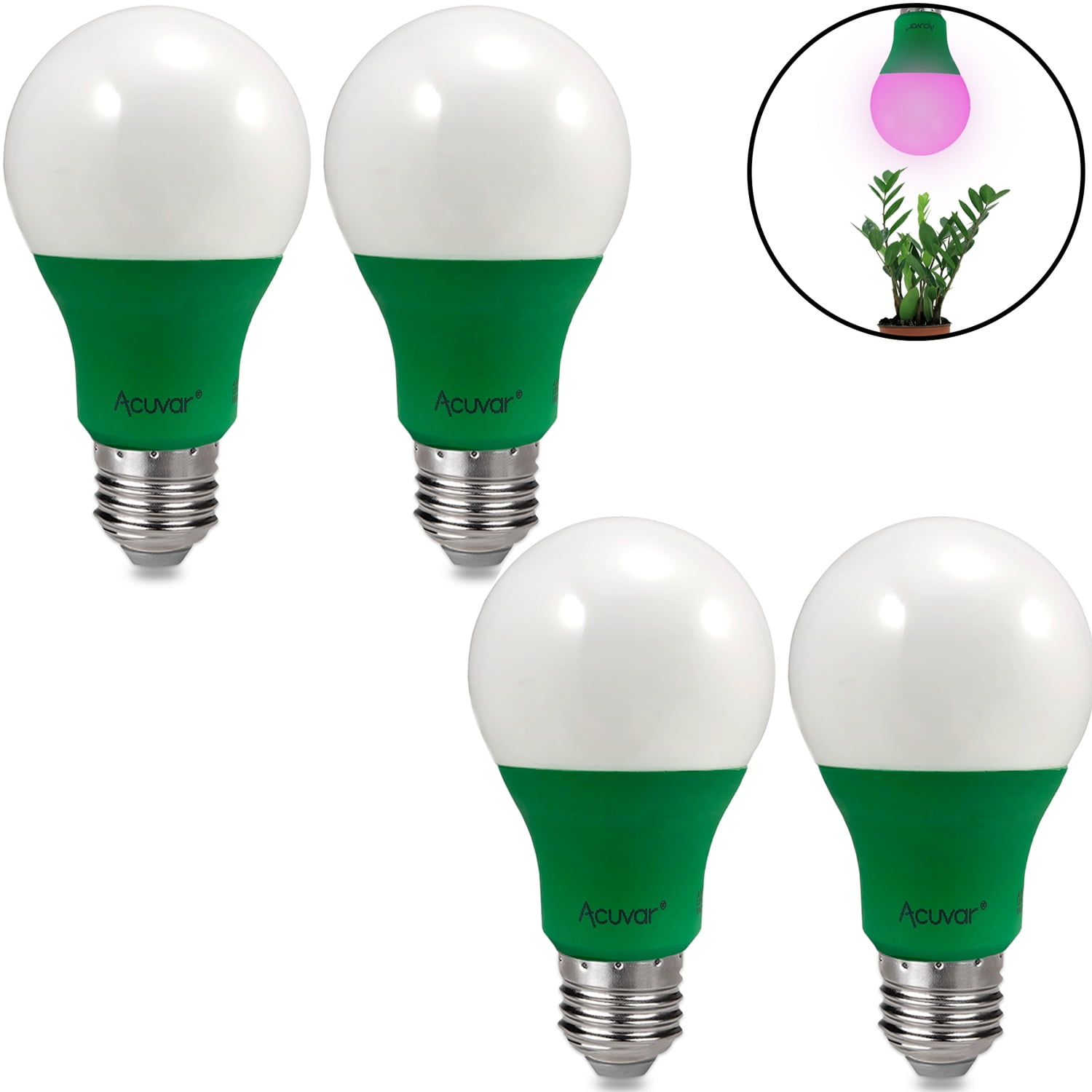 A19 Grow Bulb A19 Grow Bulb