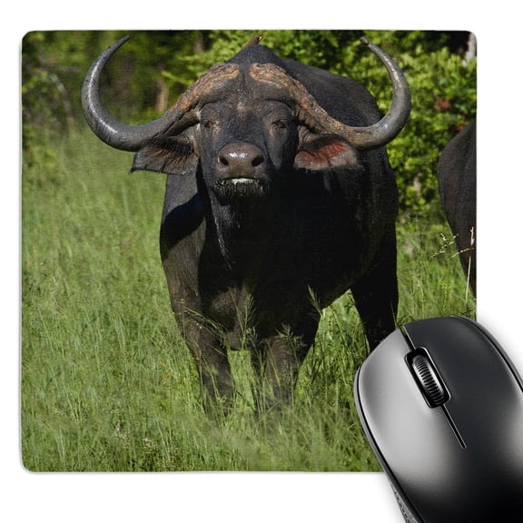3dRose, Cape buffalo, Syncerus caffer, Hwange NP, Zimbabwe, Africa, MousePad