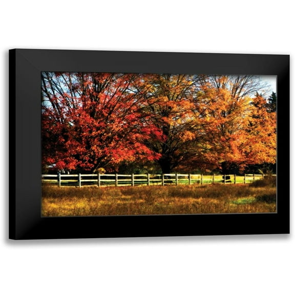 Hausenflock, Alan 14x11 Black Modern Framed Museum Art Print Titled - Autumn in the Fields