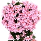 thumbnail image 1 of Flor violeta artificial reutilizable para colgar en la pared ramo violeta decoración del hogar (rosa) Ndcxsfigh Libre de BPA, 1 of 2