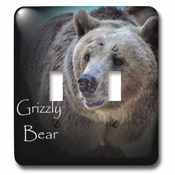 3dRose, A close-up of a Grizzly Bear, double toggle switch