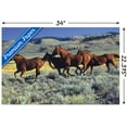 thumbnail image 3 of Animals - Horses Running on the Planes Wall Poster with Push Pins, 22.375" x 34", 3 of 3