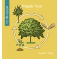 thumbnail image 1 of Maple Tree (My Early Library: My Life Cycle), 1 of 1