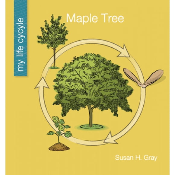 Maple Tree (My Early Library: My Life Cycle)
