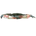 thumbnail image 3 of Large Lifelike Maryland Blue Crab Nautical Home Wall Plaque Tiki Bar Beach House Decor, 3 of 7