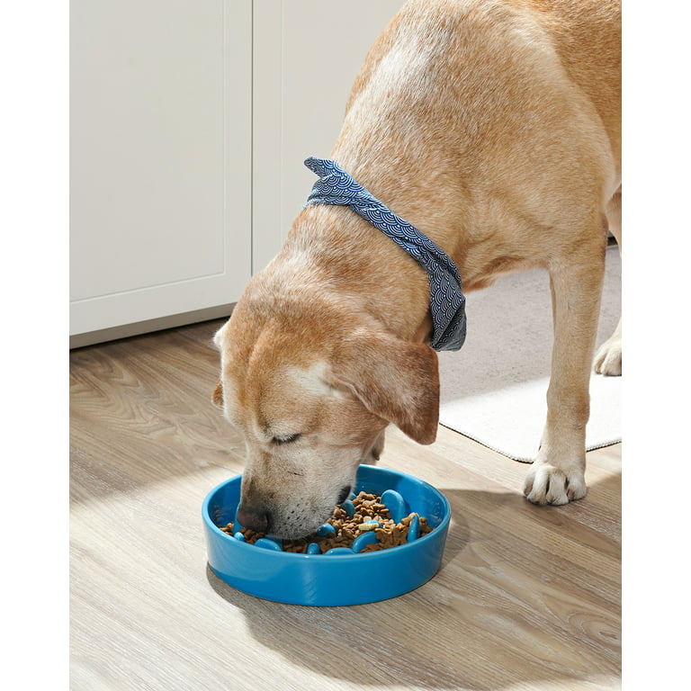 Bamboo Slow Feeder Dog Bowl - Designed by Veterinarians - Suitable for All  Breeds - Large Size - Dog Puzzle Feeder