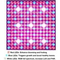 thumbnail image 5 of 75W LED Grow Light for Indoor Plants Growing Lamp 225 LEDs UV IR Red Blue Full Spectrum Plant Lights Bulb Panel for Hydroponics Greenhouse Seedling Veg and Flower, 5 of 6
