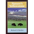 thumbnail image 1 of Pierre Jaune de la Nature, 1 of 1
