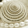 thumbnail image 2 of PhotoINC Studio 15x15 Black Ornate Wood Framed with Double Matting Museum Art Print Titled - Shells and Pearls 1, 2 of 4