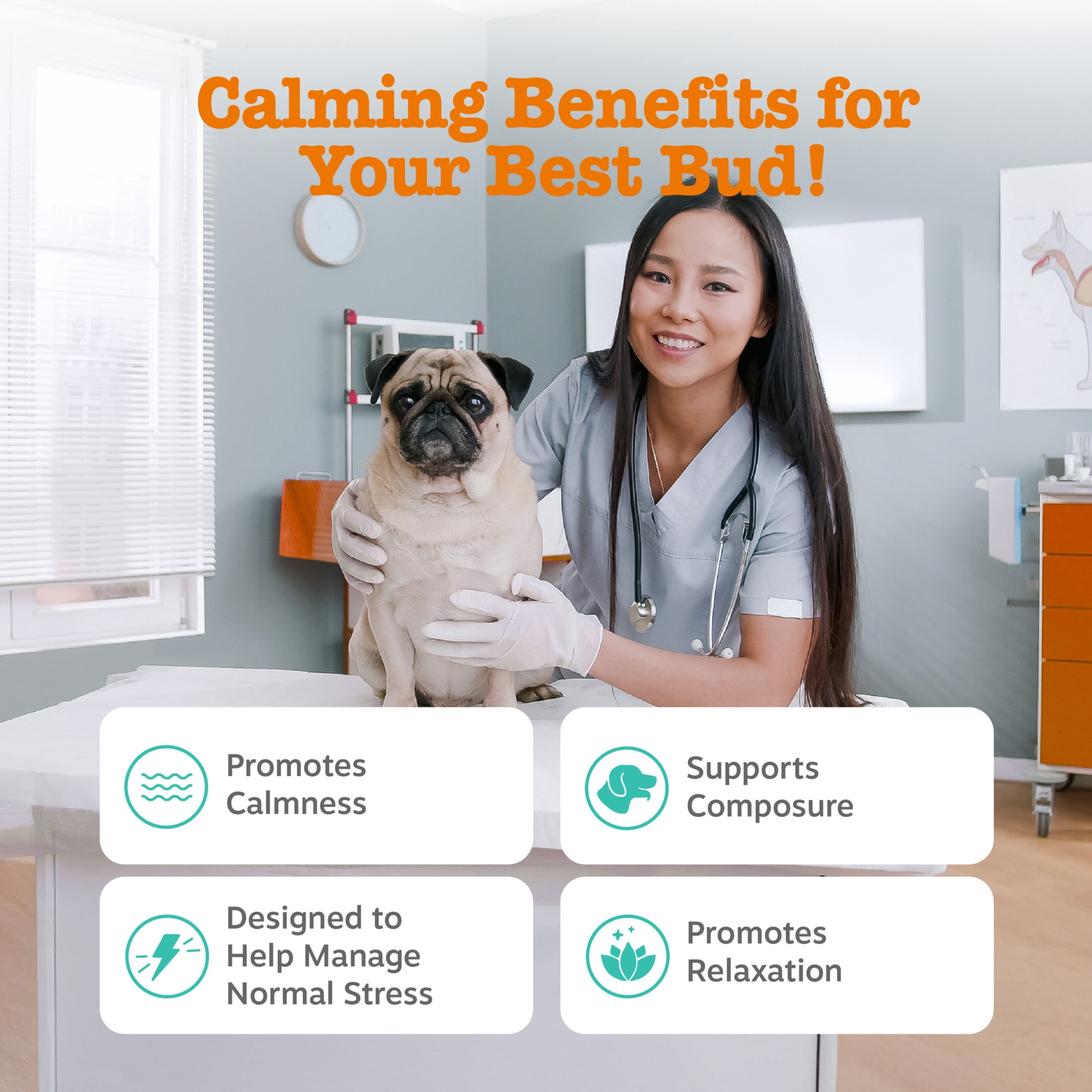 Zesty Paws Vet Strength Calming Bites, Smoked Turkey Flavor, 60 Count Pouch