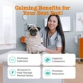 thumbnail image 2 of Zesty Paws Vet Strength Calming Bites, Smoked Turkey Flavor, 60 Count Pouch, 2 of 12