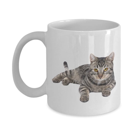 Grey Tabby Cat Mug - Funny Tea Hot Cocoa Coffee Cup - Novelty Birthday Christmas Anniversary Gag Gifts, Ceramic Mug 1Oz