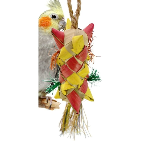 03423 Medium Carnival