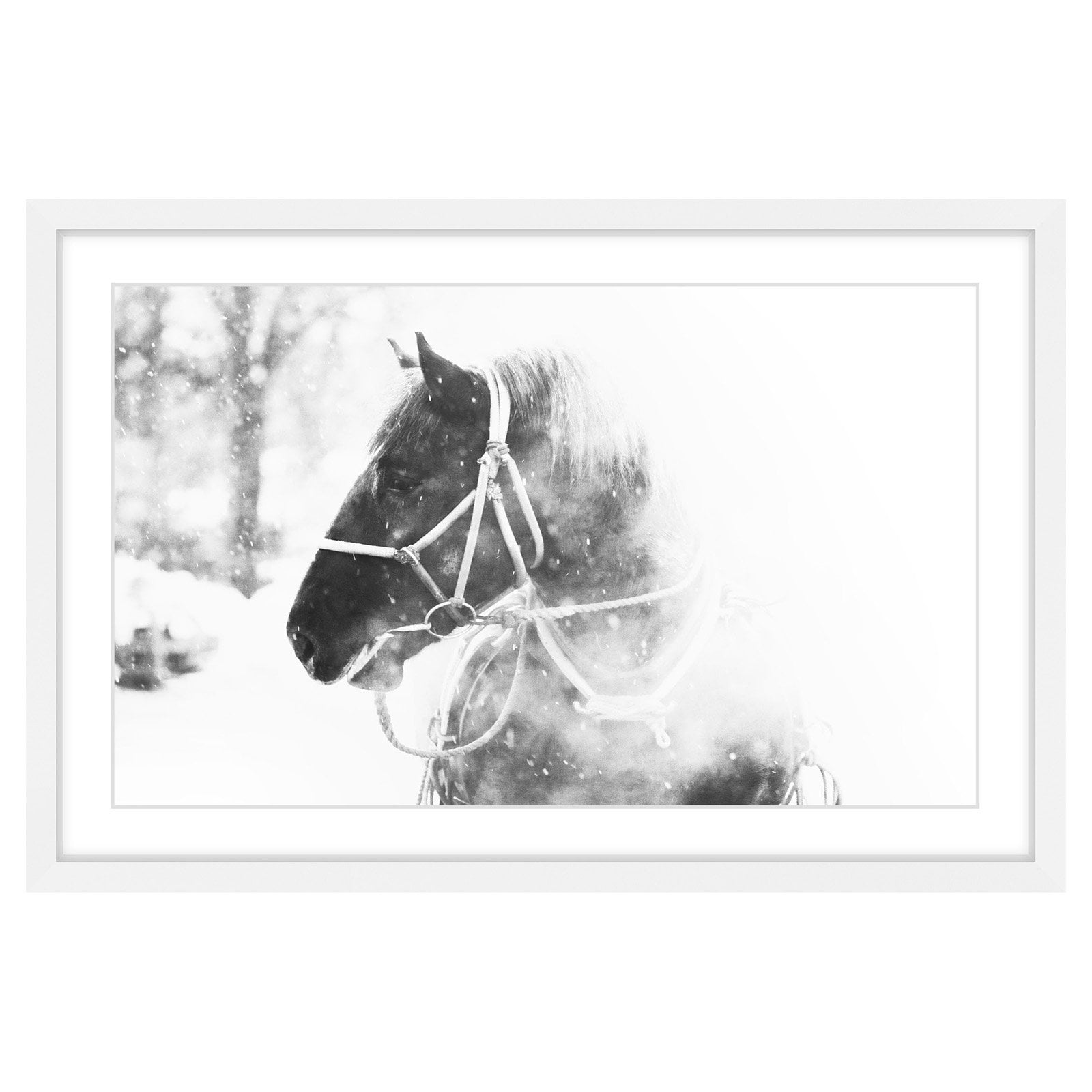 Marmont Hill 'Cold Breath' Framed Photographic Print on Paper