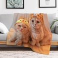 thumbnail image 2 of Throw Blanket, Flannel Throw Blanket Sofa Chair Cover Decorative For Bed Couch, 2 of 7