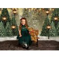 thumbnail image 2 of Fondo de paisaje de bosque de invierno con nieve, árboles de pino de Navidad, puntos de halo, fondo de fotografía, paisaje de invierno, país de las maravillas, bosque, fiesta familiar, decoración de pared, accesorios de estudio fotográfico (7 x 5 pies) esquí esquí Gafas de esquí, 2 of 5
