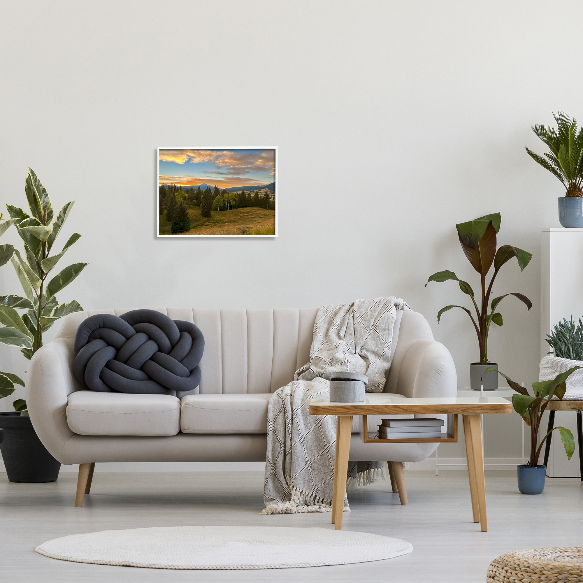 Stupell Montana Sunset Forest Clearing Landscape Photography White Framed Art Print Wall Art
