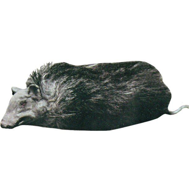 Rats Prop Halloween Decoration