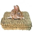 thumbnail image 1 of Rabbit Mat, Grass Mat for Rabbits, Natural Hand-Woven Grass Mat for Small Pet Chew Toy Bed for Hamster, Pig, Rabbit and Parrot - 4pcs 20*28cm*1.5cm, 1 of 5