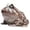 A, variant on Small Frog Garden Statue Resin Animal Sculpture for Outdoor Yard Art Decor, Perfect Spring Summer Decorations for Front Porch Patio and Ornament, 3.9" A