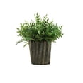 thumbnail image 2 of D&W Silks Green Locust Spray in an Oval Ceramic Planter, 2 of 2
