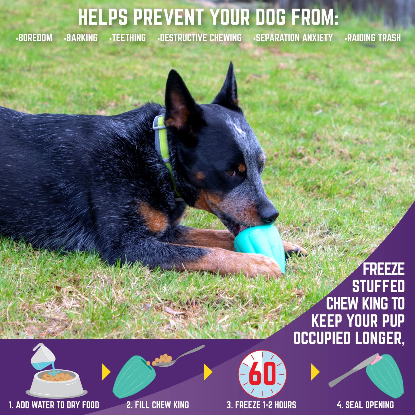 Chew King By Mammoth Dog Toy Box x-Large- Durable Fetch Balls, Treater and Chewing Toy Collection