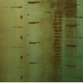 thumbnail image 2 of Springet, Mike 12x12 White Modern Wood Framed Museum Art Print Titled - Echo 3, 2 of 4