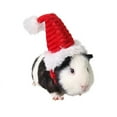 thumbnail image 5 of Gorros para hámster, disfraz de conejillo de indias, minigorro de Papá Noel para gatito, Chinchilla, conejo, erizo, ardilla, ratas, pato, cachorro recién nacido, 5 of 5