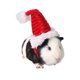 thumbnail image 5 of Gorros para hámster, disfraz de conejillo de indias, minigorro de Papá Noel para gatito, Chinchilla, conejo, erizo, ardilla, ratas, pato, cachorro recién nacido, 5 of 5