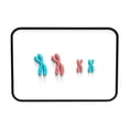 thumbnail image 1 of Yinanstore Chromosome Changes Model Learning Tools Biological Educational Learning Demonstration Kit Teaching Instruments for Classroom Red Blue, 1 of 8