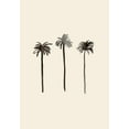 thumbnail image 2 of Uppsala Studio 24x32 Black Ornate Wood Framed with Double Matting Museum Art Print Titled - Palm Trees Ink, 2 of 4