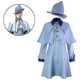 thumbnail image 1 of Disfraz de Harry Potter Deluxe Fleur Delacour para mujer, 1 of 3