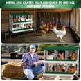 thumbnail image 3 of 2025 New Metal Chicken Nesting Boxes, Heavy-Duty Galvanized Steel Egg Laying Box with 6,8,10 Compartments, Rustproof, Easy to Install & Clean, Wall-Mountable Design for Poultry Coops, 3 of 7
