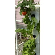 Exo Hydroponics 3 Tier Vertical Garden Planter Tower for Indoor Gardening, Vertical gardening Indoor/outdoor, 12 Stacking Garden Pots, 100% Money Back Guarantee