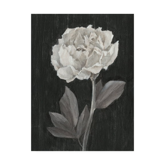 Trademark Fine Art 'Black and White Flowers IV' Canvas Art by Ethan Harper