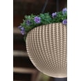 thumbnail image 5 of Hanging Rattan Resin Planter Set of 2, Sandy Beige, 5 of 6
