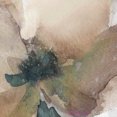 thumbnail image 3 of Masterpiece Art Gallery Watercolor Poppy I by Carol Robinson Canvas Art Print 22" x 28", 3 of 4