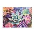 thumbnail image 2 of Rompecabezas Buffalo Games Succulent, 250 piezas, más de 14 años, 2 of 6