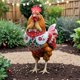 thumbnail image 2 of Adorno Navideño De Animales Para Exteriores, Gallina, Enchufe De Suelo, Adorno Navideño De Animales Para Exteriores, Enchufe De Suelo, Acrílico 2D, Enchufe Navideño De Animales, 2 of 4