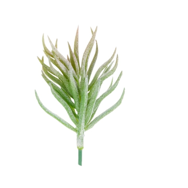 Planta suculenta artificial de PVC muy realista, en maceta, belleza eterna para el hogar, escritorio, estantería y decoración moderna